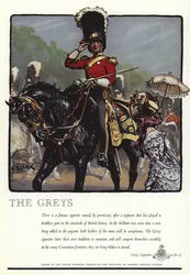 Advertisement for Greys cigarettes